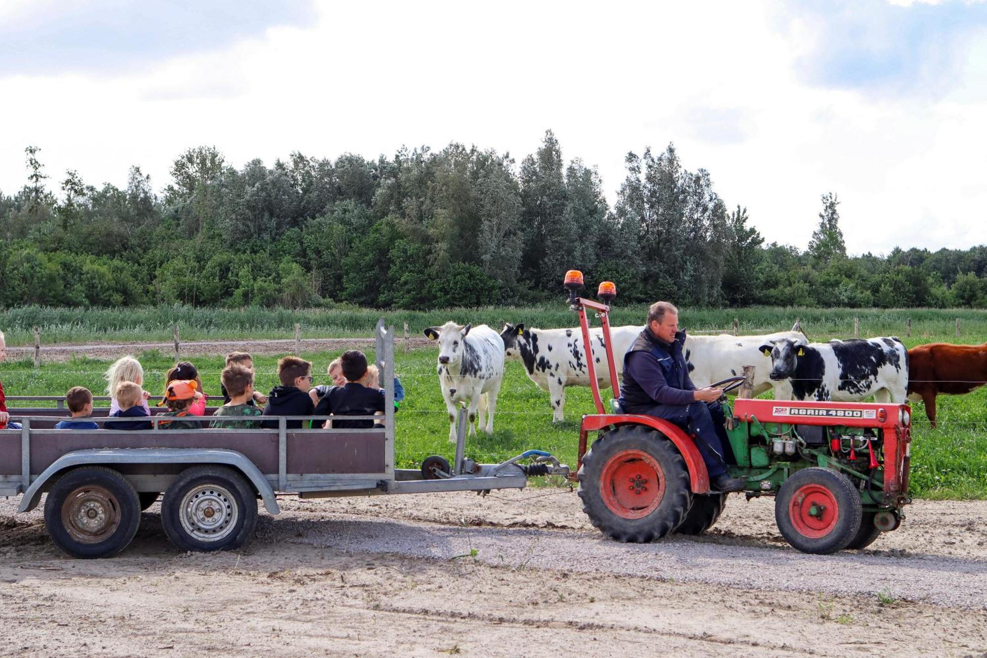 Camping de Hinde Dronten Buitenkant foto