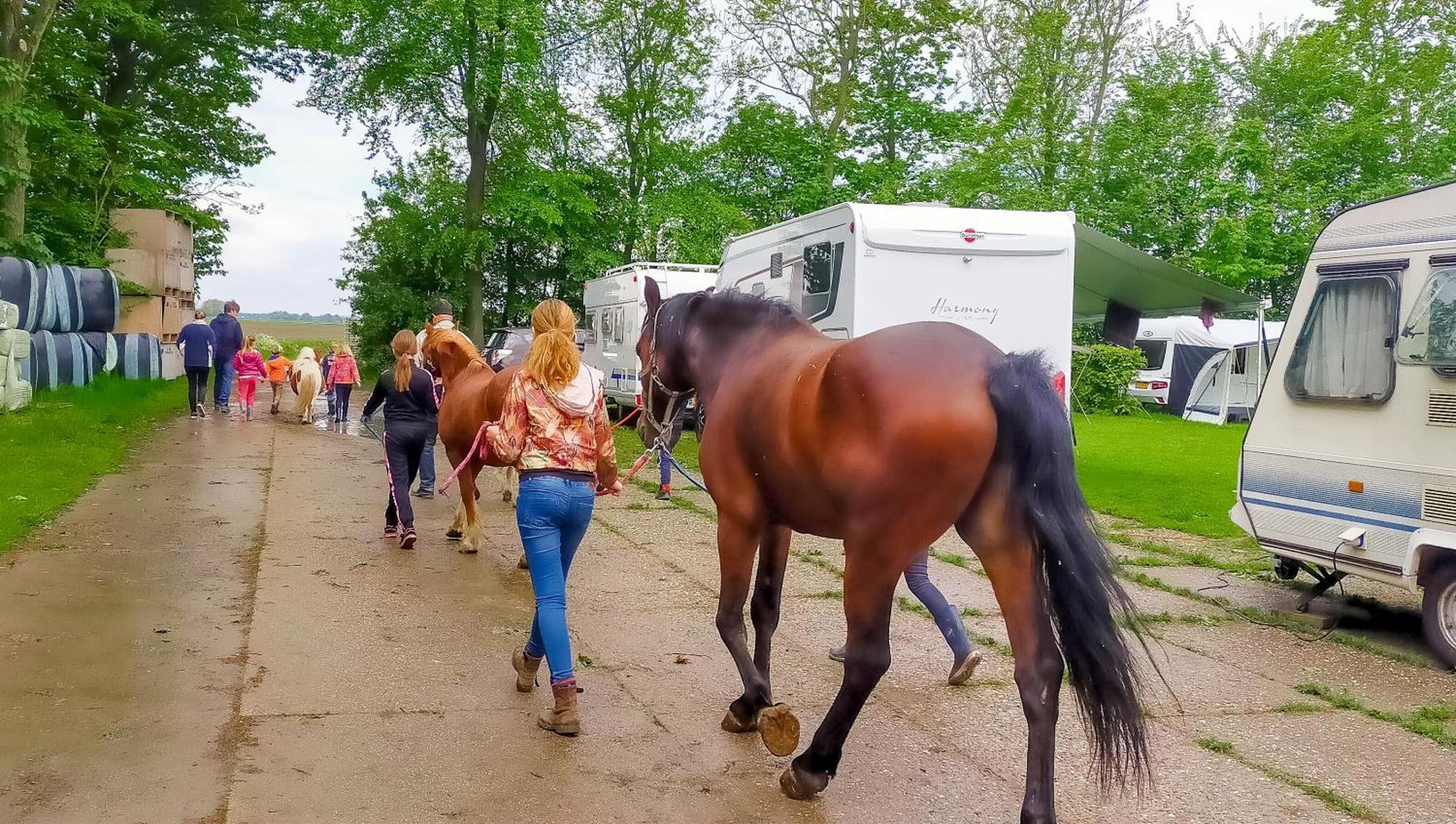 Camping de Hinde Dronten Buitenkant foto